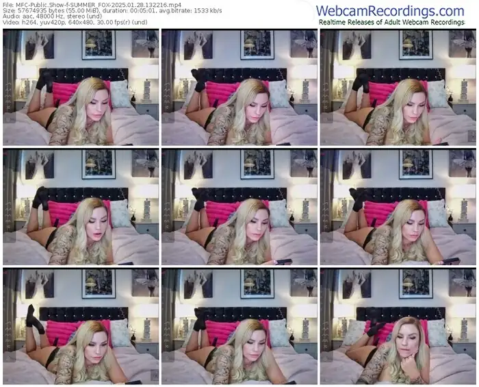 2025/01/28/mfc-summer_fox-13-22-16