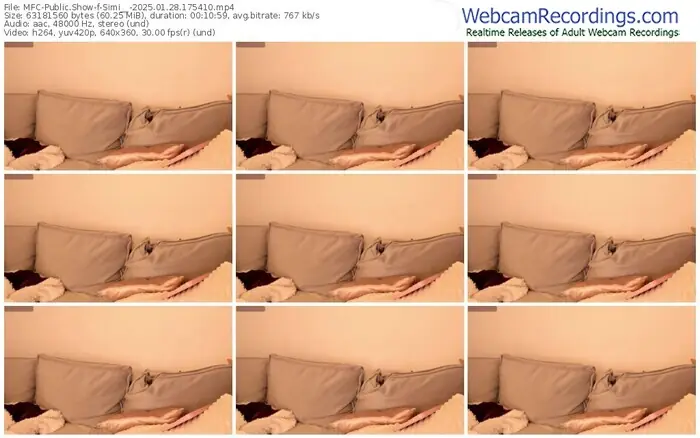 2025/01/28/mfc-simi__-17-54-10