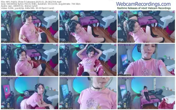 2025/01/29/mfc-catwave-06-27-44