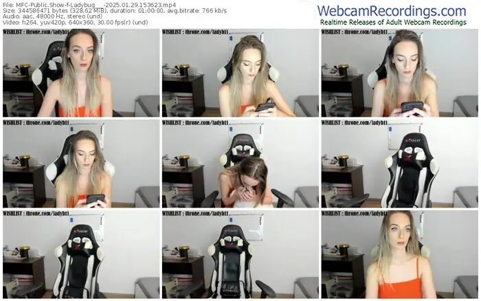 2025/01/29/mfc-ladybug___-15-36-23