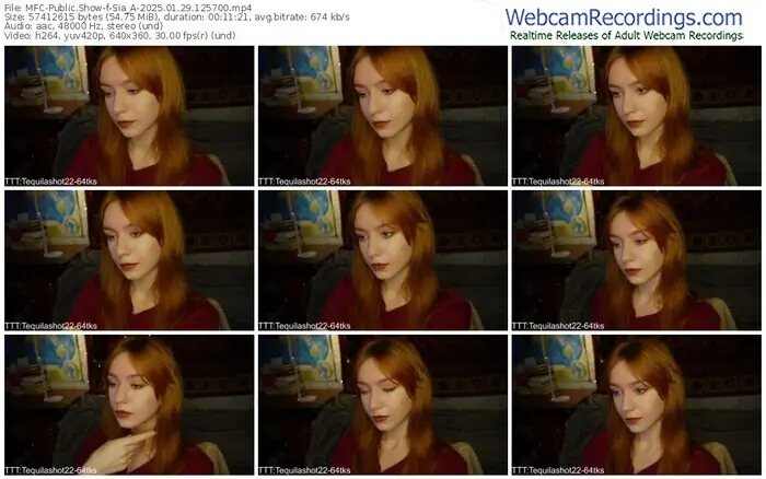 2025/01/29/mfc-sia_a-12-57-00