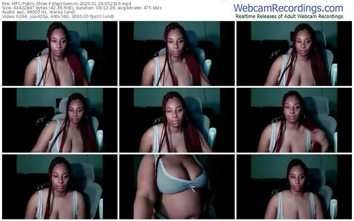 2025/01/29/mfc-slayzgemini-05-23-19