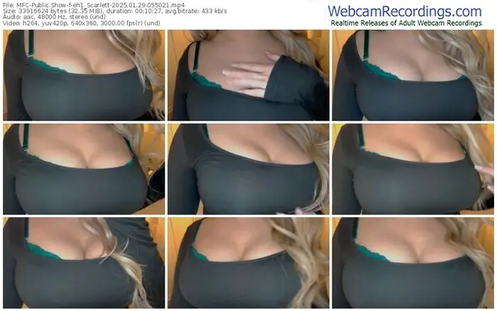 2025/01/29/mfc-eh1_scarlett-05-50-21