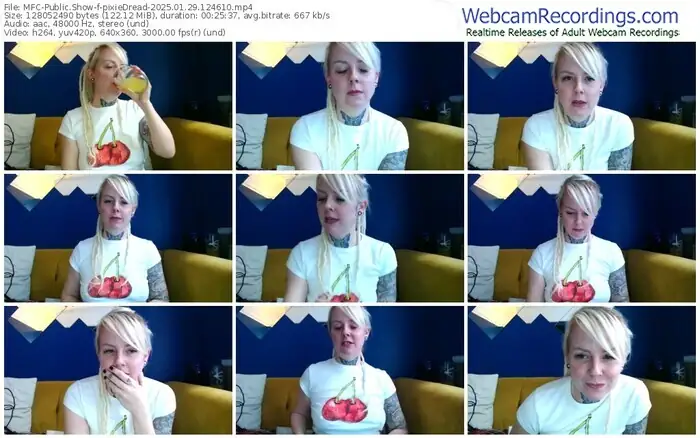 2025/01/29/mfc-pixiedread-12-46-10