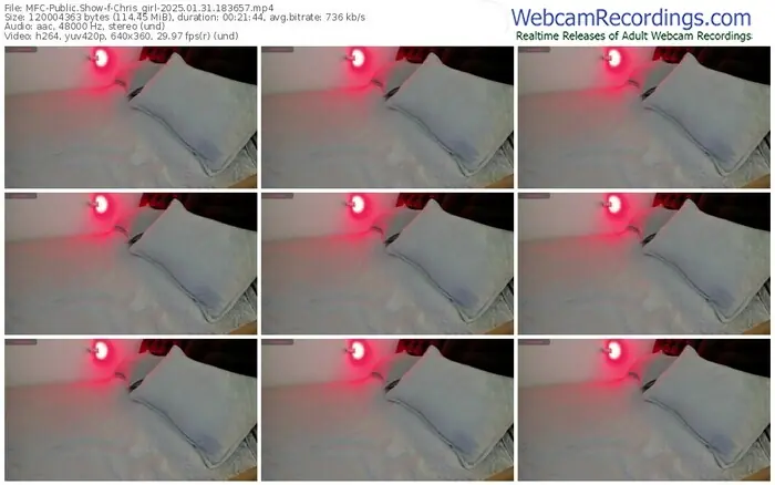 2025/01/31/mfc-chris_girl-18-36-57