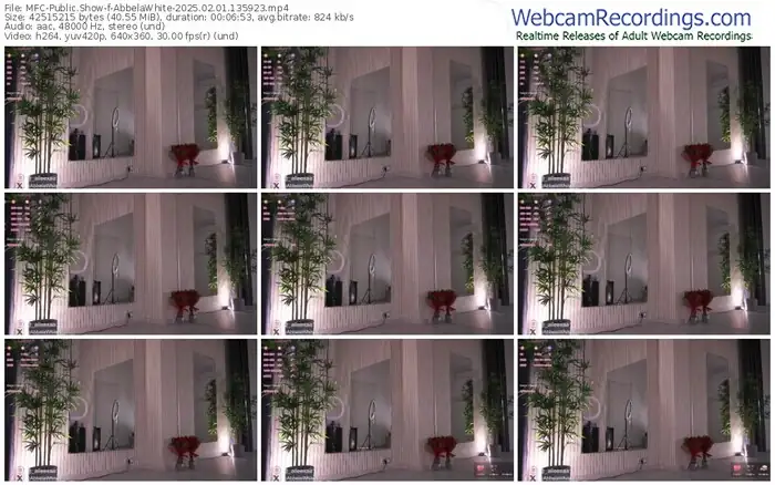 2025/02/01/mfc-abbelawhite-13-59-23