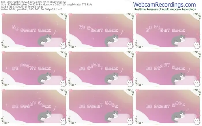 2025/02/01/mfc-kitty-07-49-53