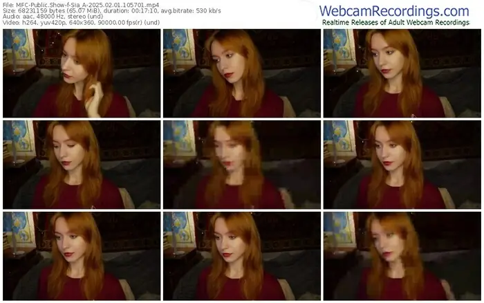 2025/02/01/mfc-sia_a-10-57-01