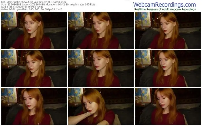 2025/02/01/mfc-sia_a-13-40-54