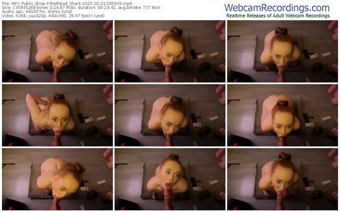 2025/02/03/mfc-redhead_shark-00-59-03