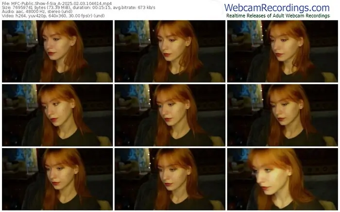 2025/02/03/mfc-sia_a-10-46-14