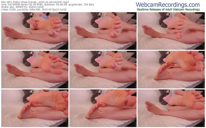 2025/02/04/mfc-anah_-04-20-47