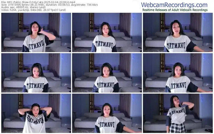 2025/02/04/mfc-onlycats-22-29-14