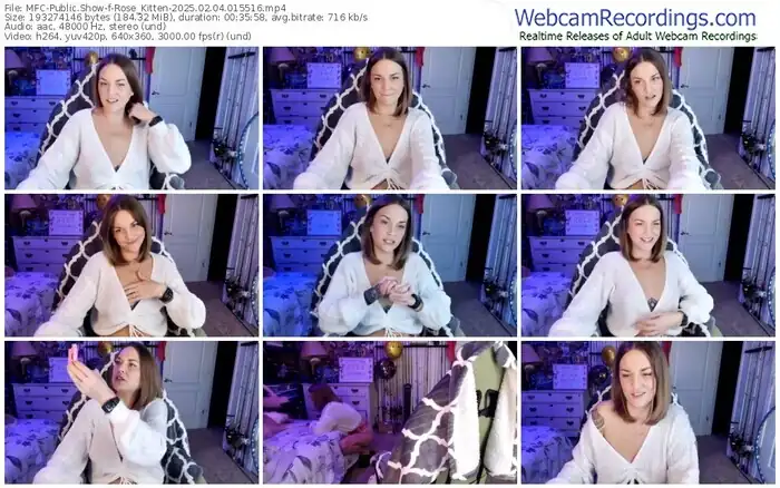 2025/02/04/mfc-rose_kitten-01-55-16