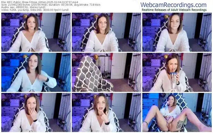 2025/02/04/mfc-rose_kitten-02-37-37