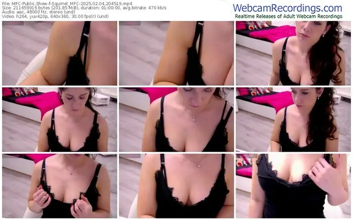 2025/02/04/mfc-squirrel_mfc-20-45-19