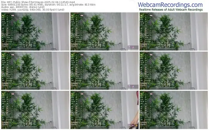 2025/02/04/mfc-torrihayes-11-45-43