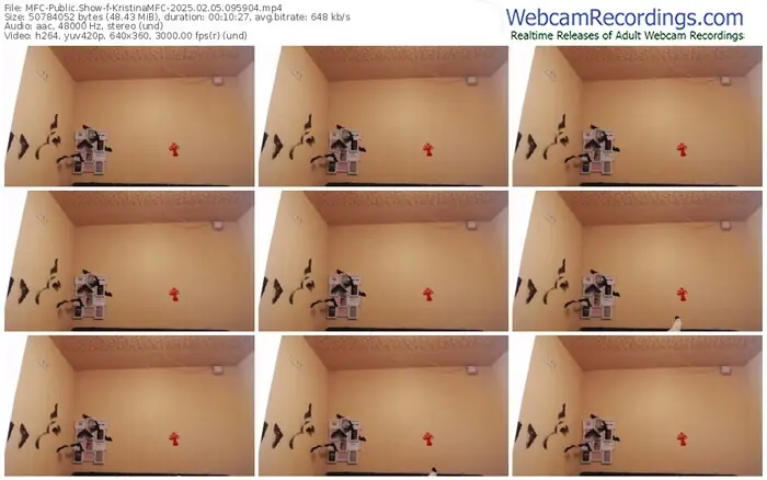 2025/02/05/mfc-kristinamfc-09-59-04