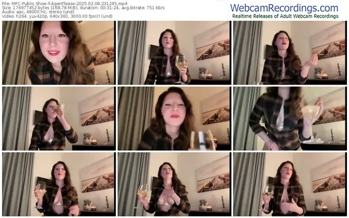 2025/02/08/mfc-agenttease-23-12-45