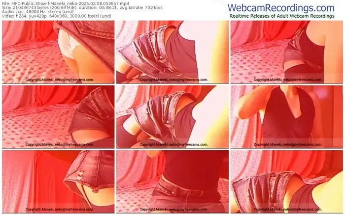 2025/02/08/mfc-maneki_neko-05-06-57