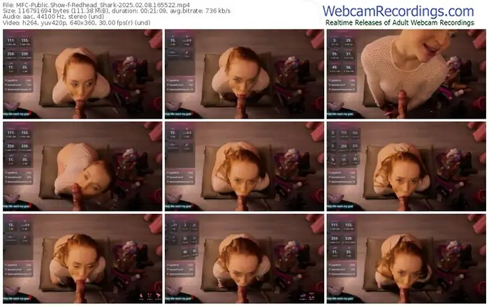2025/02/08/mfc-redhead_shark-16-55-22