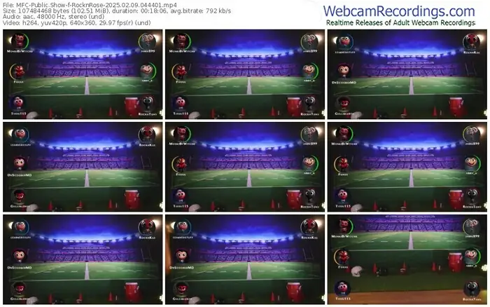 2025/02/09/mfc-rocknrose-04-44-01