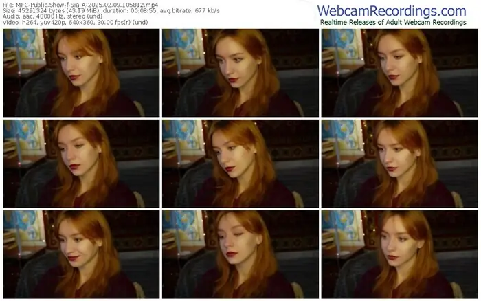 2025/02/09/mfc-sia_a-10-58-12