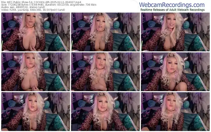 2025/02/11/mfc-a_cockkiller-00-40-27