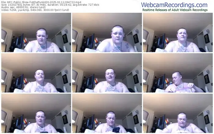 2025/02/12/mfc-ajthepunk420-09-47-22