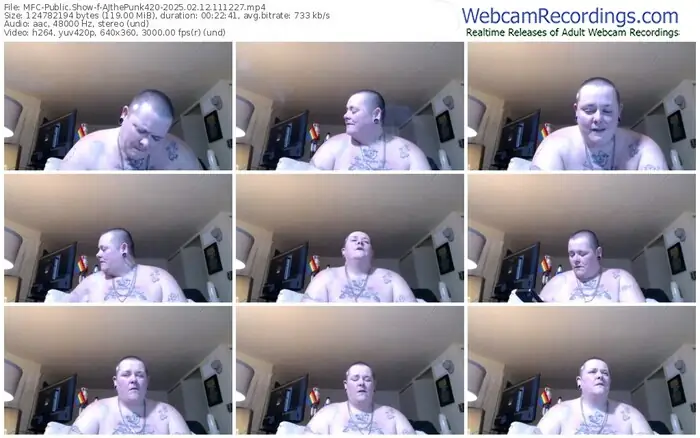 2025/02/12/mfc-ajthepunk420-11-12-27