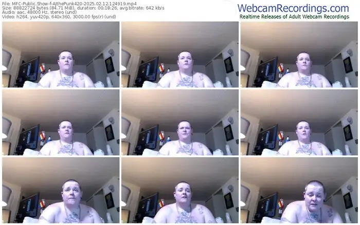 2025/02/12/mfc-ajthepunk420-12-49-19