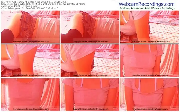 2025/02/12/mfc-maneki_neko-06-51-05