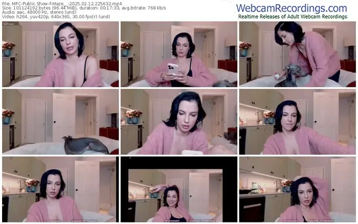 2025/02/12/mfc-maze__-22-56-32