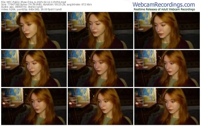 2025/02/12/mfc-sia_a-11-50-53