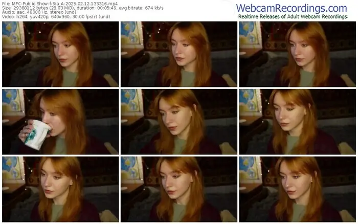 2025/02/12/mfc-sia_a-13-33-16