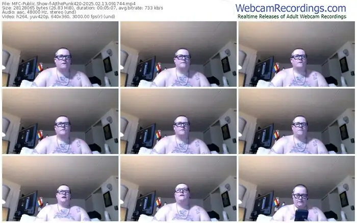 2025/02/13/mfc-ajthepunk420-09-17-44