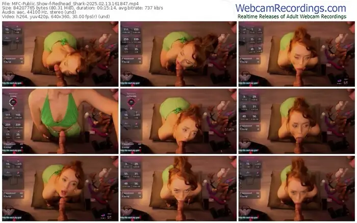 2025/02/13/mfc-redhead_shark-16-18-47