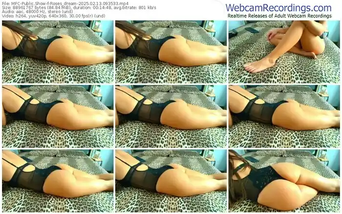 2025/02/13/mfc-roses_dream-09-35-33