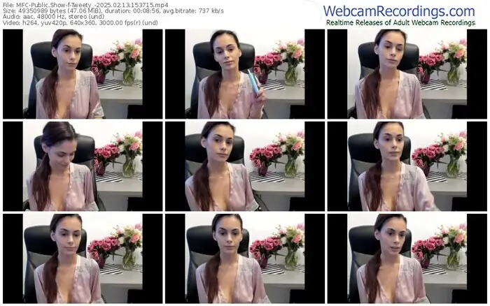 2025/02/13/mfc-tweety_-15-37-15