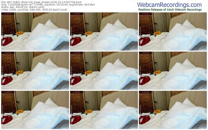 2025/02/14/mfc-ai_deep_dream-00-17-58