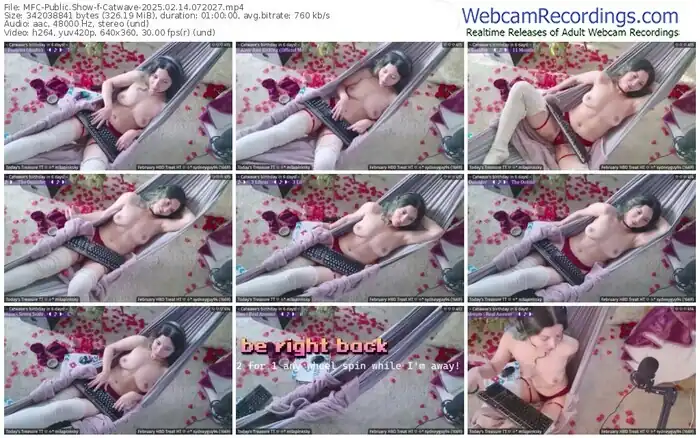 2025/02/14/mfc-catwave-07-20-27