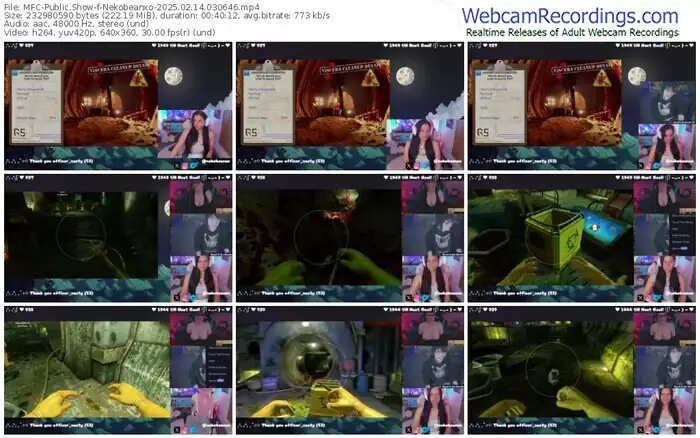 2025/02/14/mfc-nekobeanxo-03-06-46