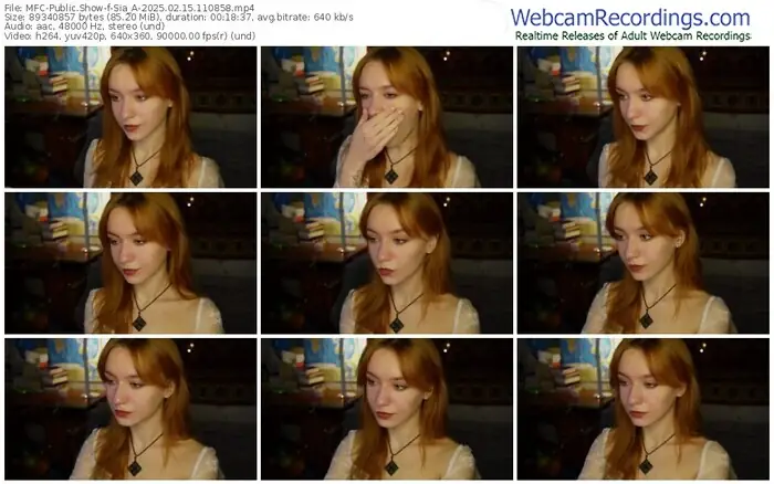 2025/02/15/mfc-sia_a-11-08-58