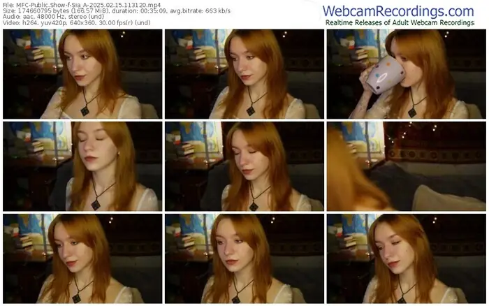 2025/02/15/mfc-sia_a-11-31-20