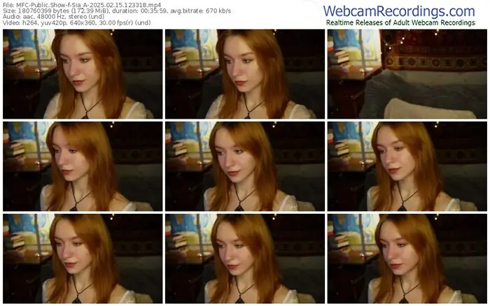 2025/02/15/mfc-sia_a-12-33-18