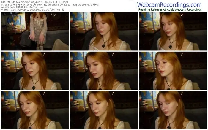 2025/02/15/mfc-sia_a-13-13-13