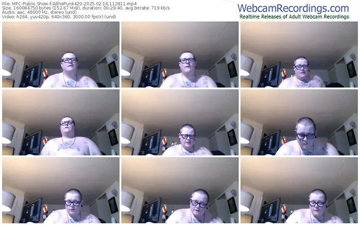 2025/02/16/mfc-ajthepunk420-11-28-11