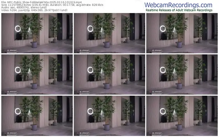 2025/02/16/mfc-abbelawhite-10-13-19