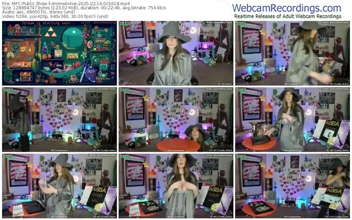 2025/02/16/mfc-animeannie-00-16-18