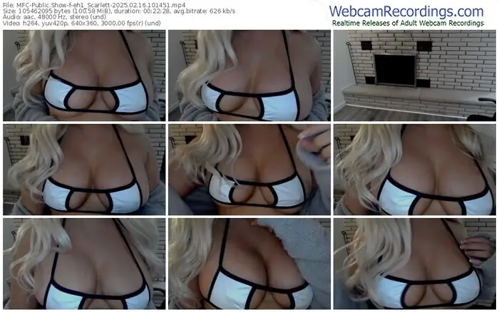 2025/02/16/mfc-eh1_scarlett-10-14-51